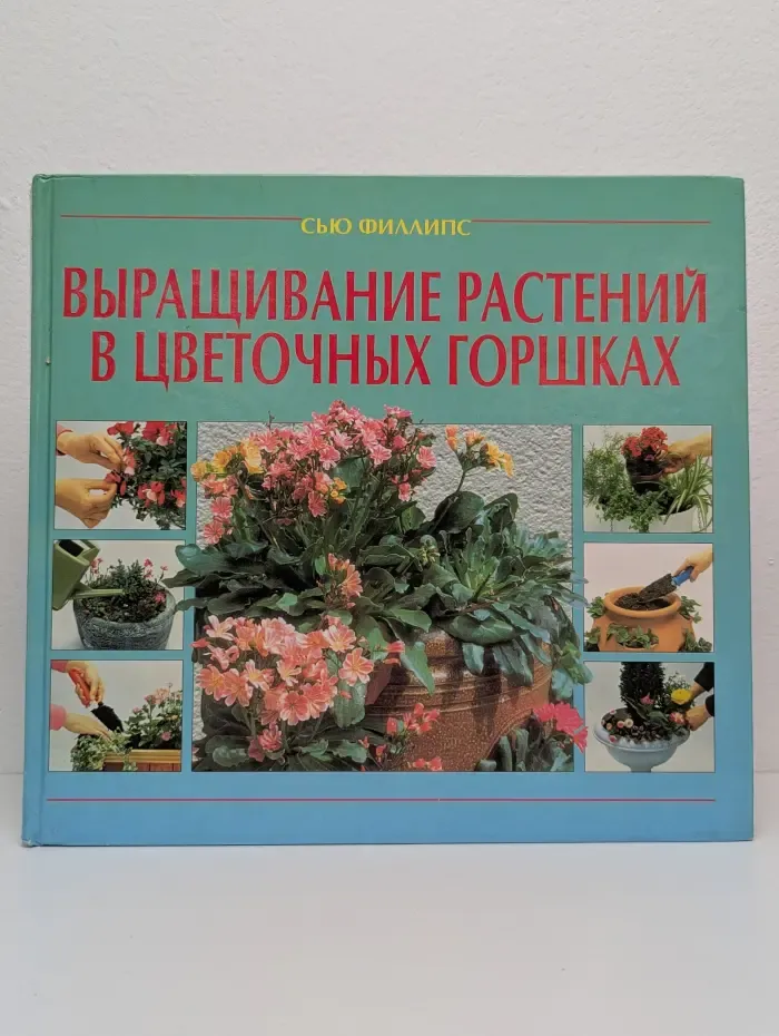 Выращивание растений в цветочных горшках