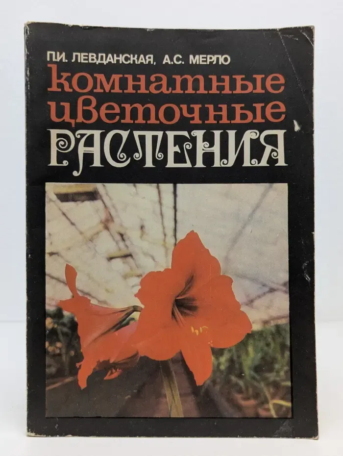 Комнатные цветочные растения