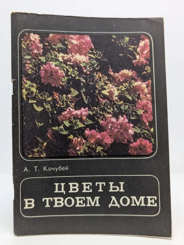 Цветы в твоем доме