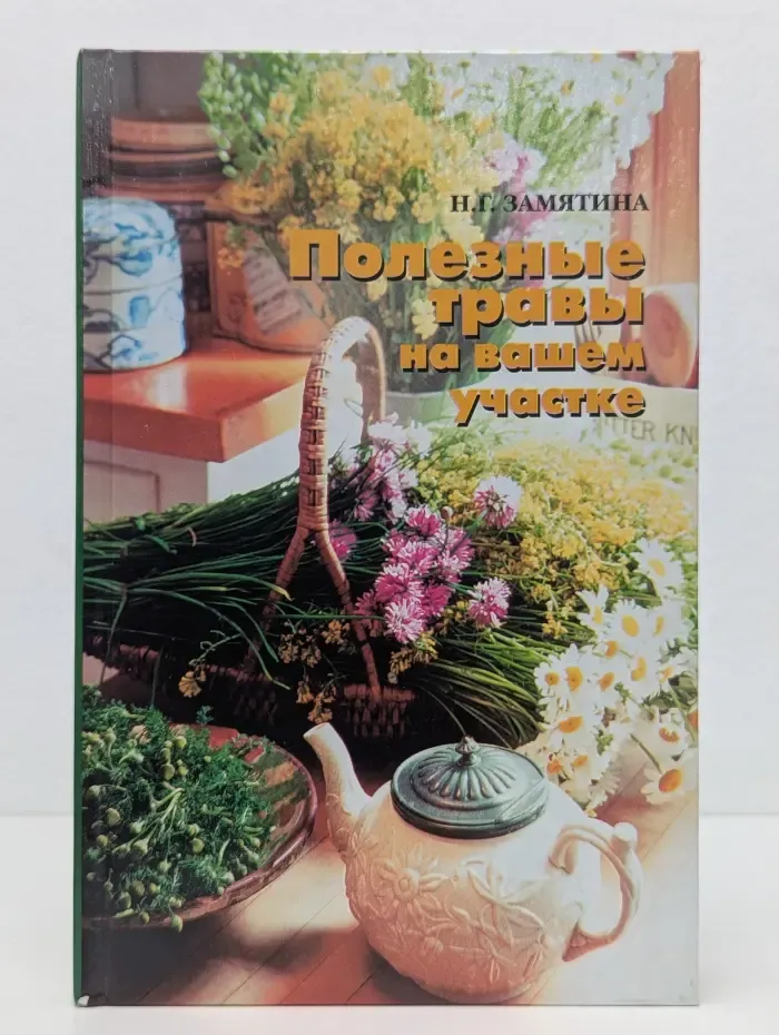 Полезные травы на вашем участке