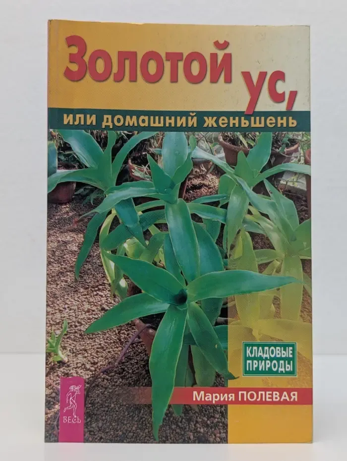 Кладовые природы. Золотой ус, или домашний женьшень