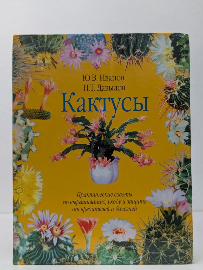 Кактусы