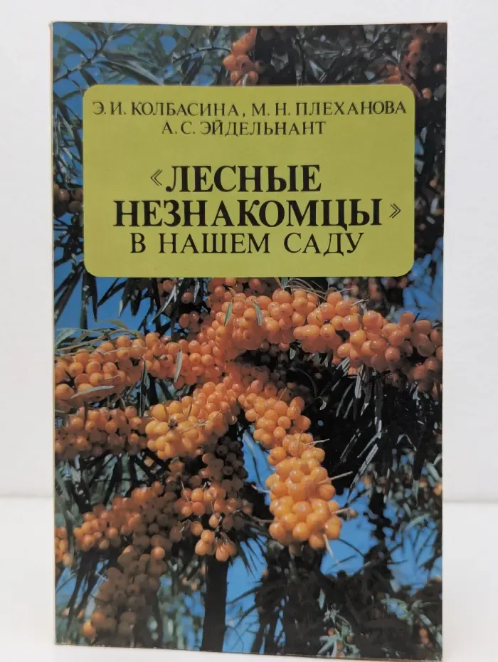Лесные незнакомцы в нашем саду