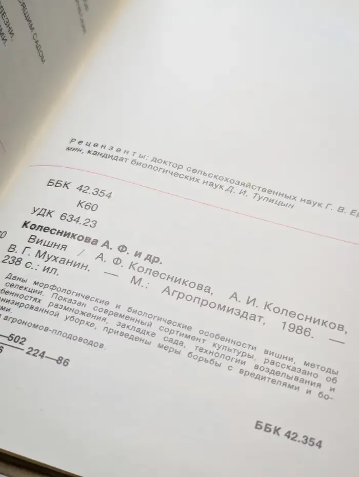 Вишня