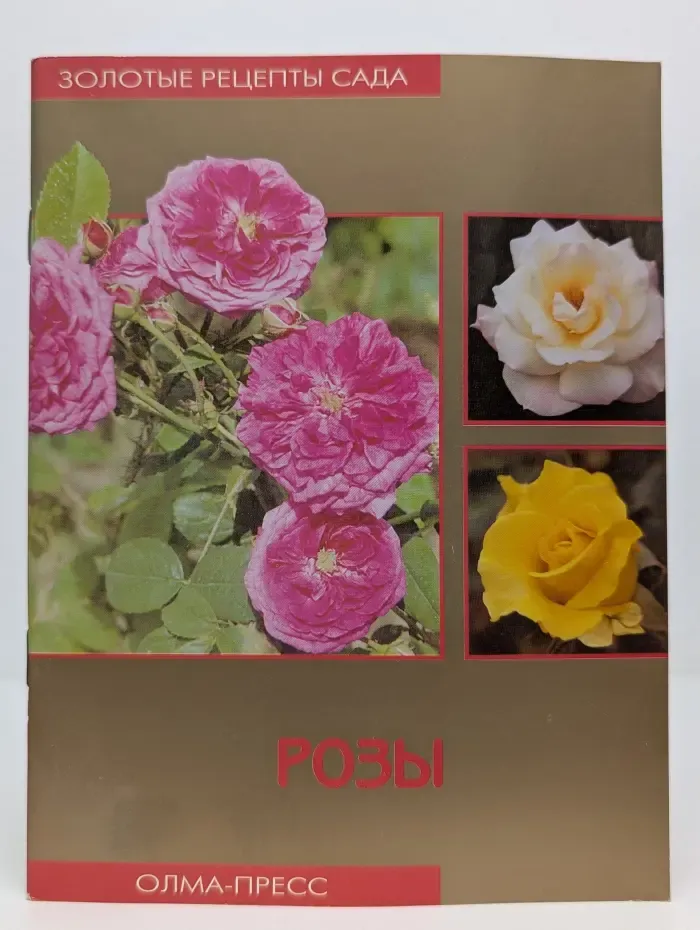 Розы