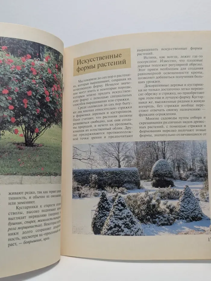 Золотые рецепты сада. Декоративные деревья и кустарники