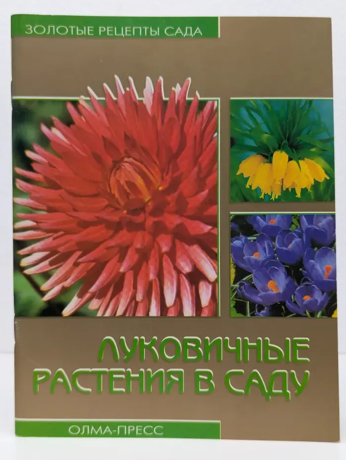 Золотые рецепты сада. Луковичные растения в саду