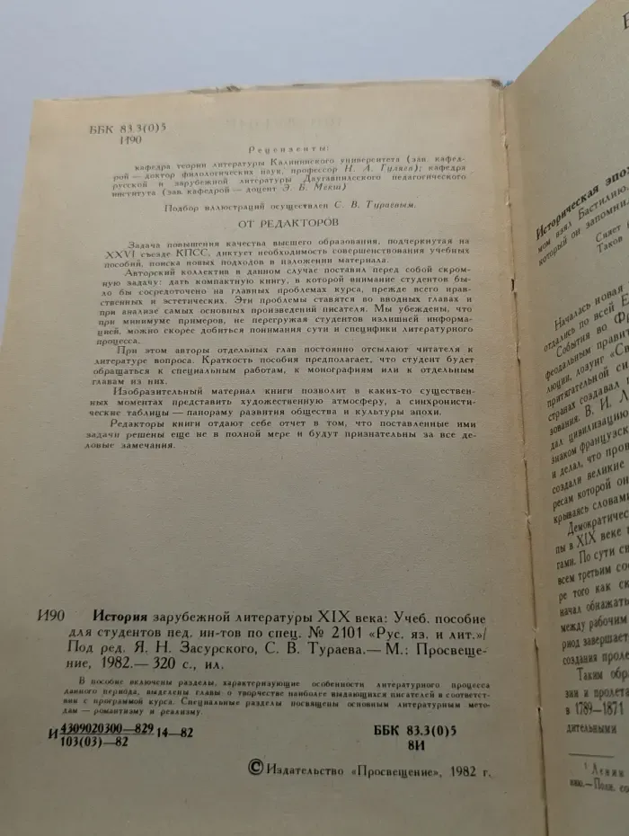 История зарубежной литературы XIX века