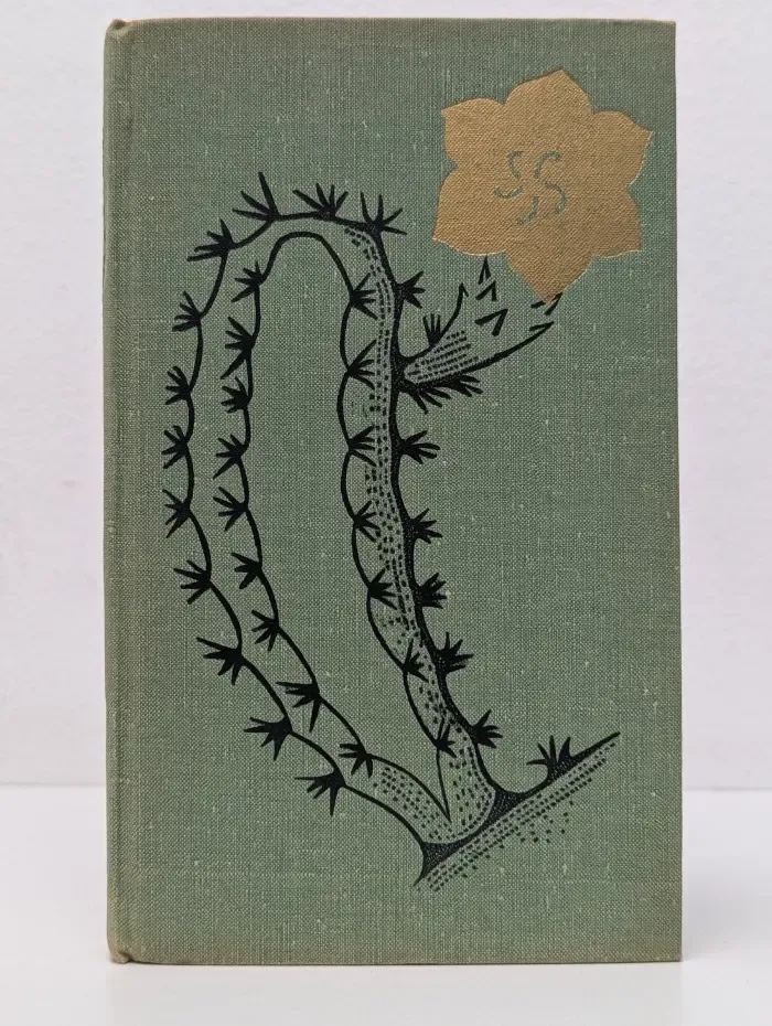 Кактусы