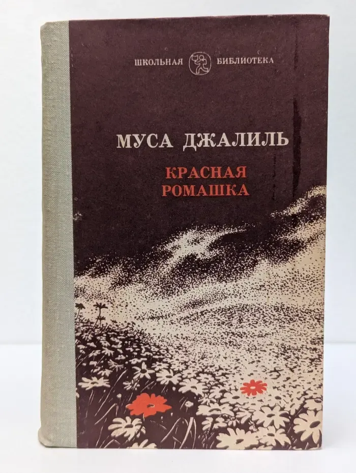 Школьная библиотека. Красная ромашка